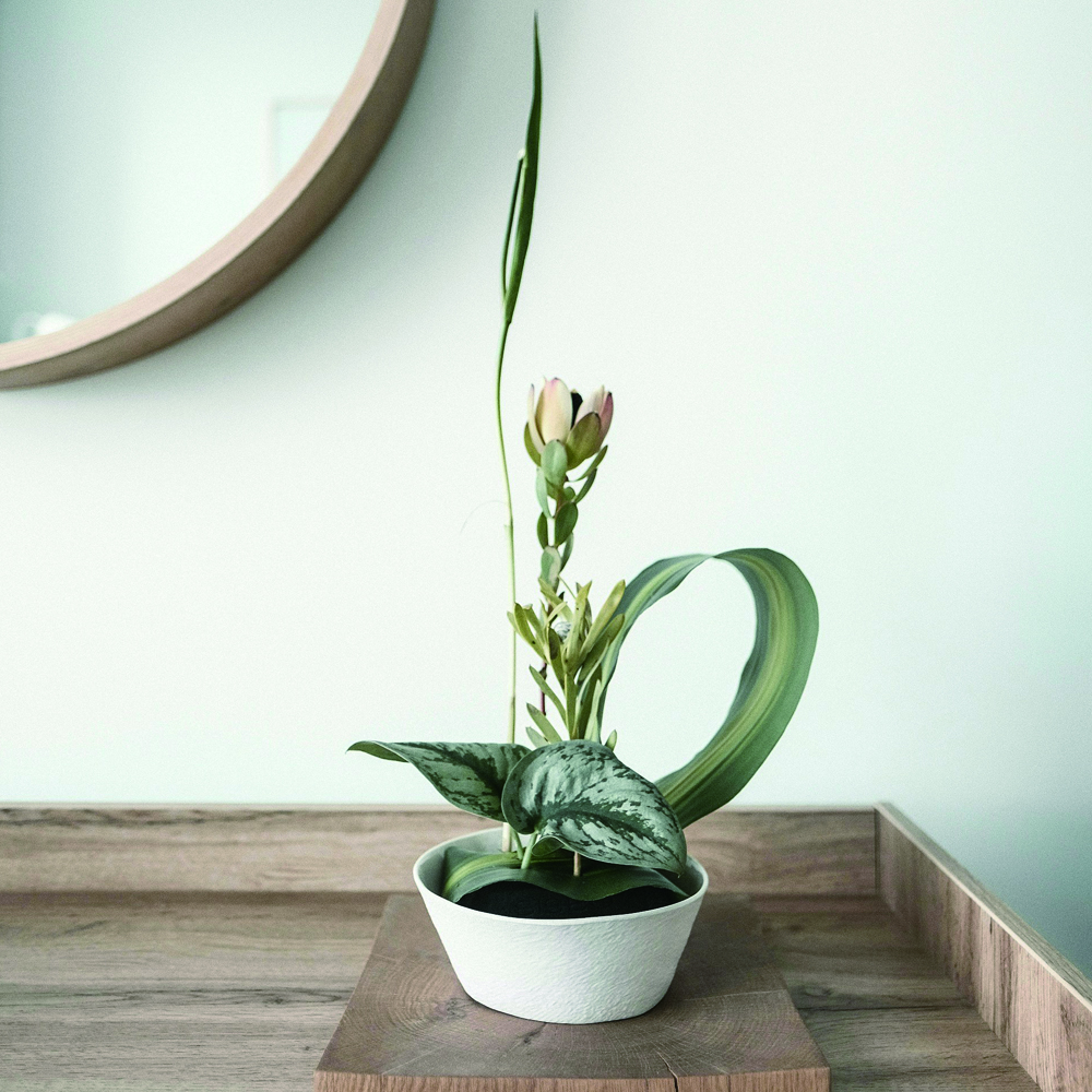 재팬디 인테리어